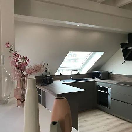 Duplex Louis Climatise *