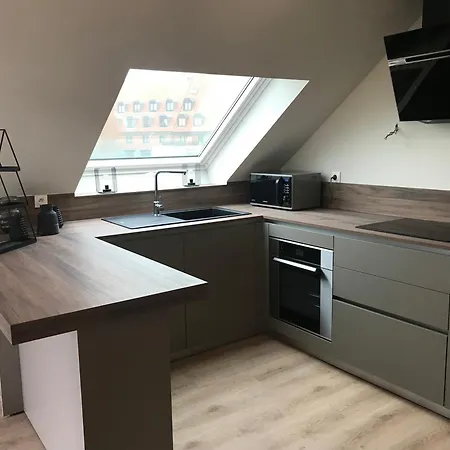 Daire Duplex Louis Climatise