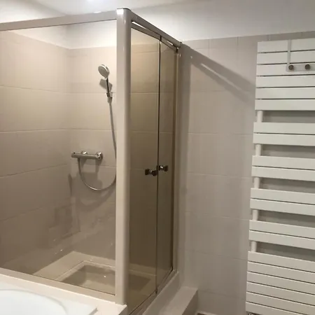 Duplex Louis Climatise Horbourg
