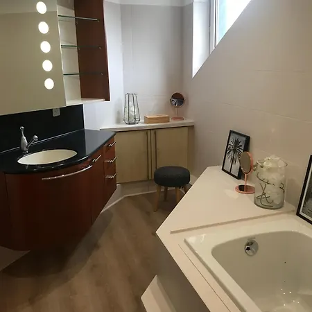 Duplex Louis Climatise * Horbourg