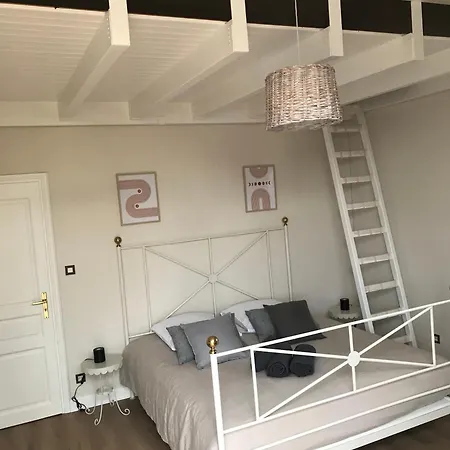 Duplex Louis Apartment Horbourg