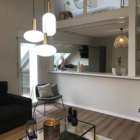 Duplex Louis Climatise * Horbourg