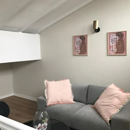 Duplex Louis Climatise * Horbourg