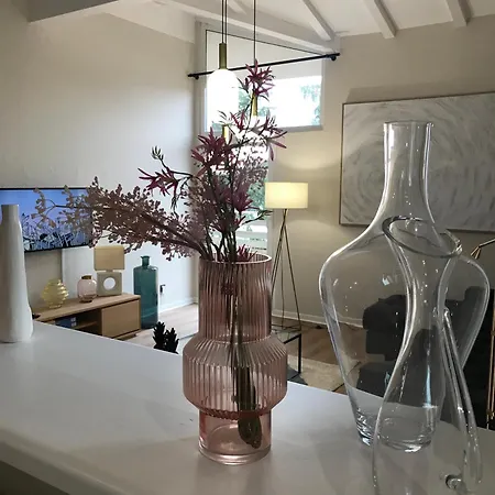 Duplex Louis *